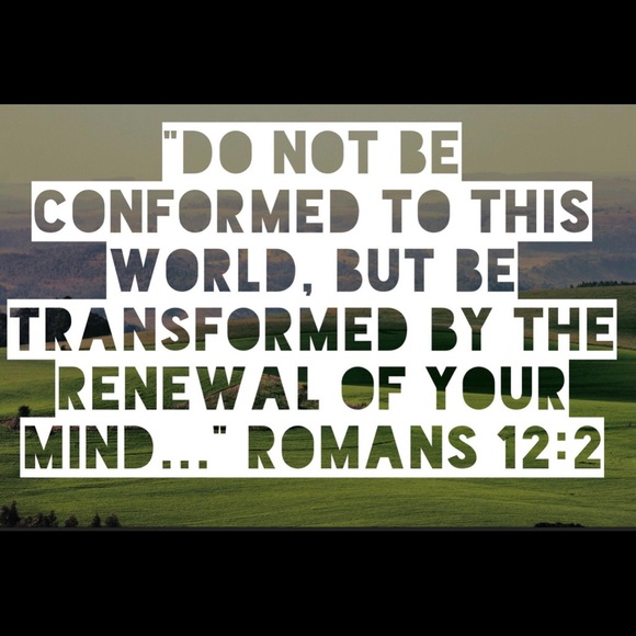 Custom painted hat with floral and Pearl detail - Picture 2 of 3